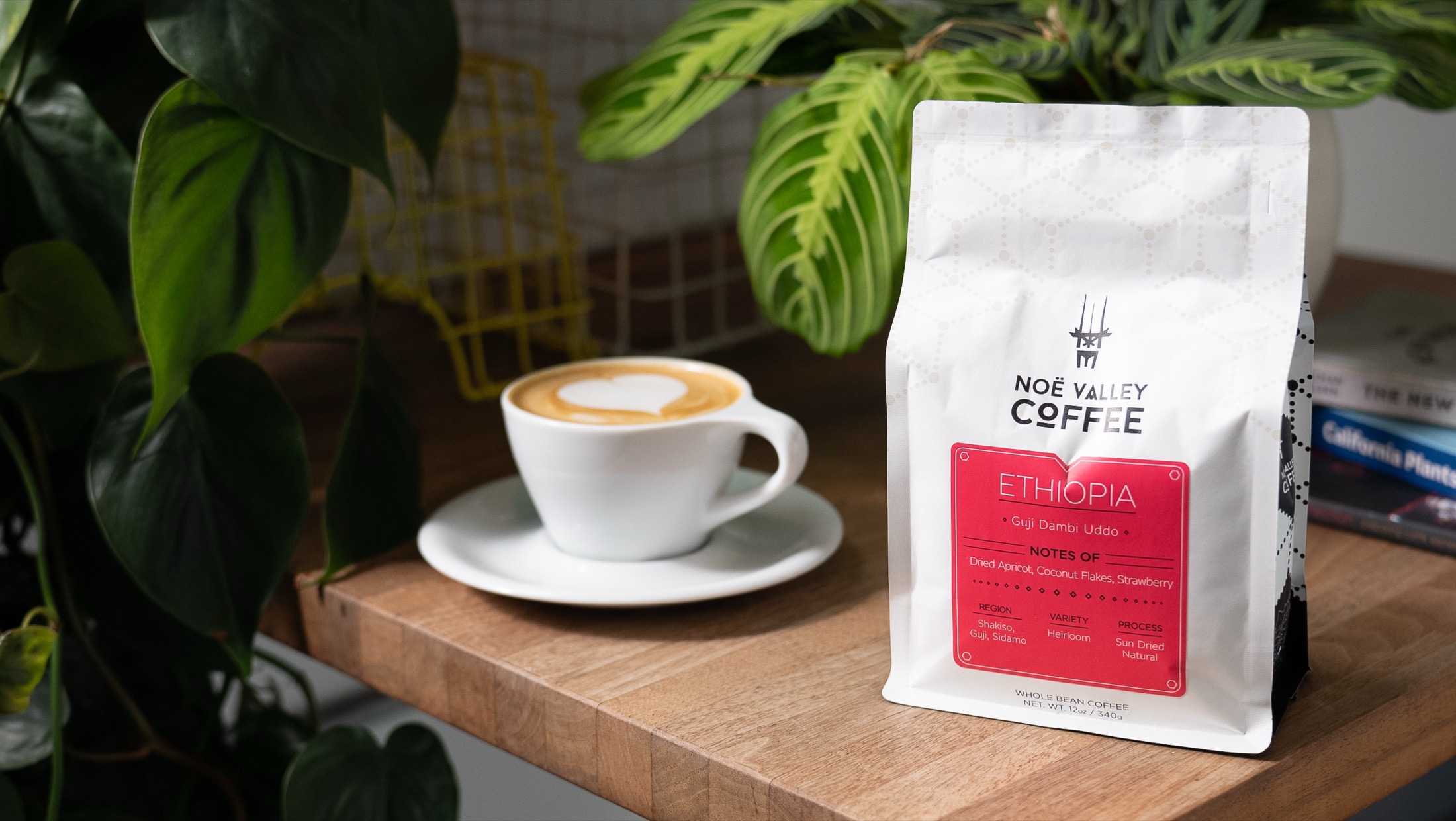 A 12 ounce bag of Noe Valley Coffee Ethiopia beside a cappuccino and green plants.